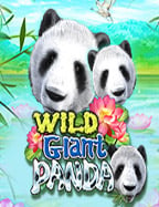 รีวิวสนุกๆ สล็อต tiger กับความตื่นเต้นไม่รู้จบ